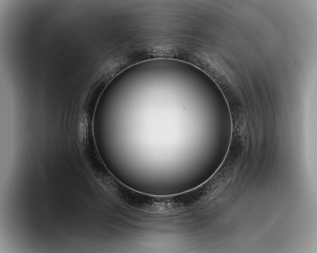 X0000096140744200801181132