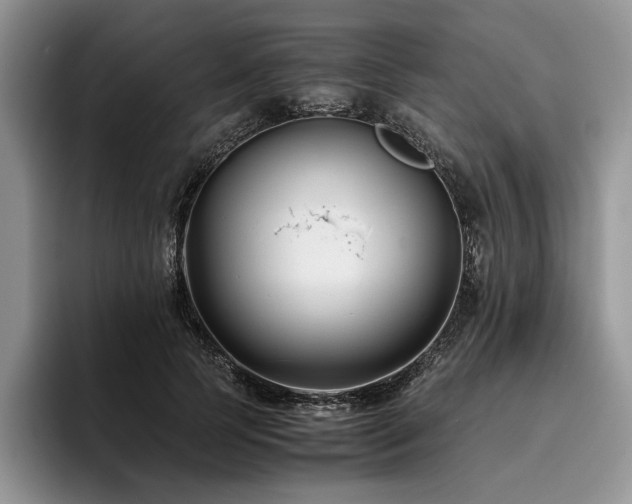 X0000096140745200801181132