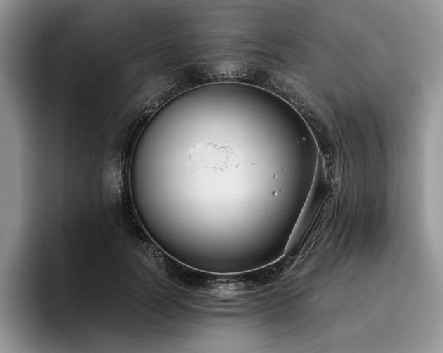X0000096140746200801181132