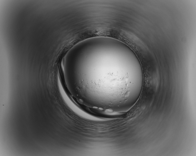 X0000096140748200801181132