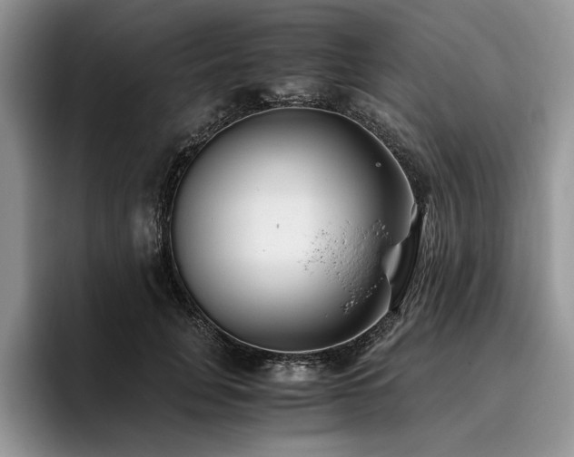 X0000096140751200801181132