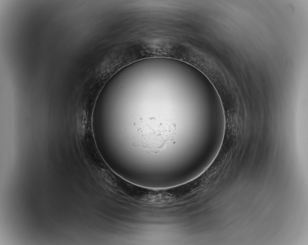 X0000096140752200801181132