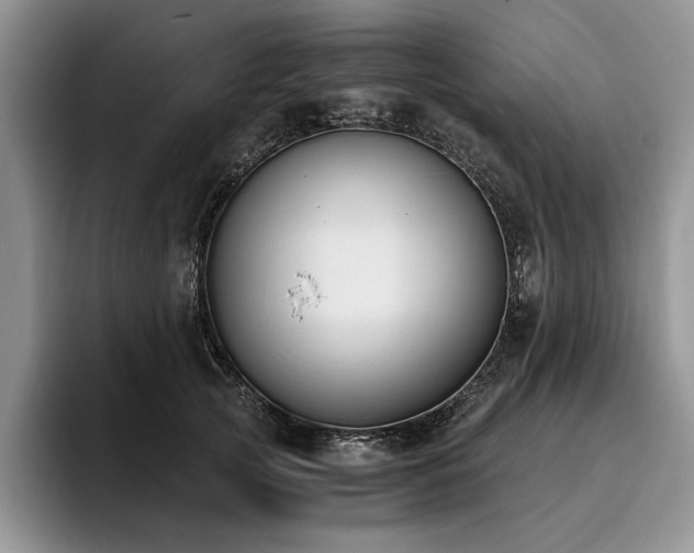 X0000096140753200801181132