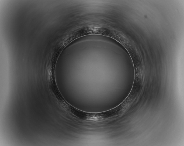 X0000096140754200801181132