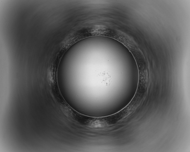 X0000096140755200801181132