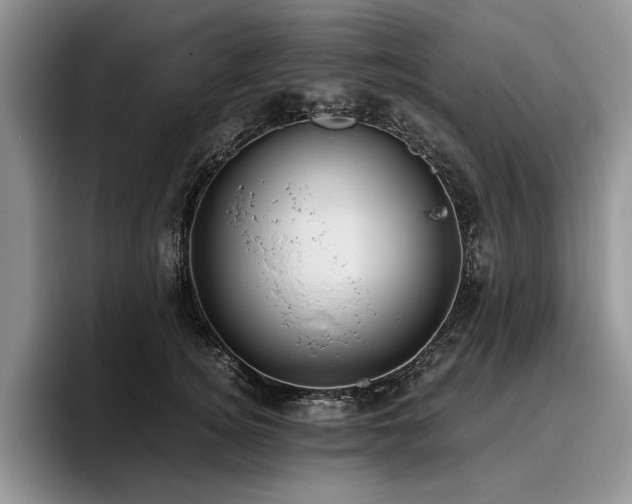 X0000096140756200801181132