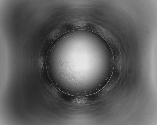 X0000096140758200801181132