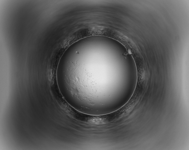 X0000096140759200801181132