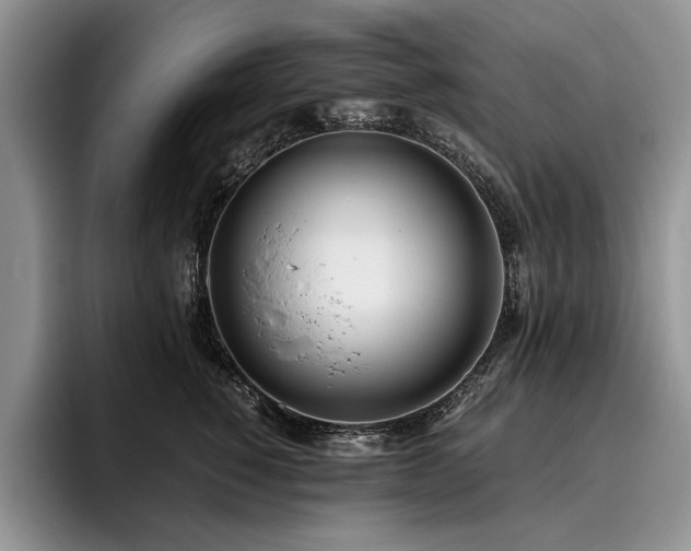 X0000096140760200801181132