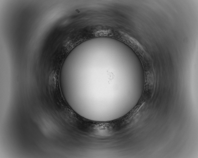 X0000096140761200801181132