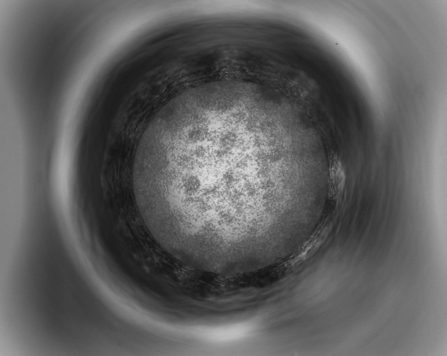 X0000096140765200801181133