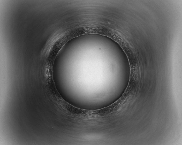 X0000096140770200801181132