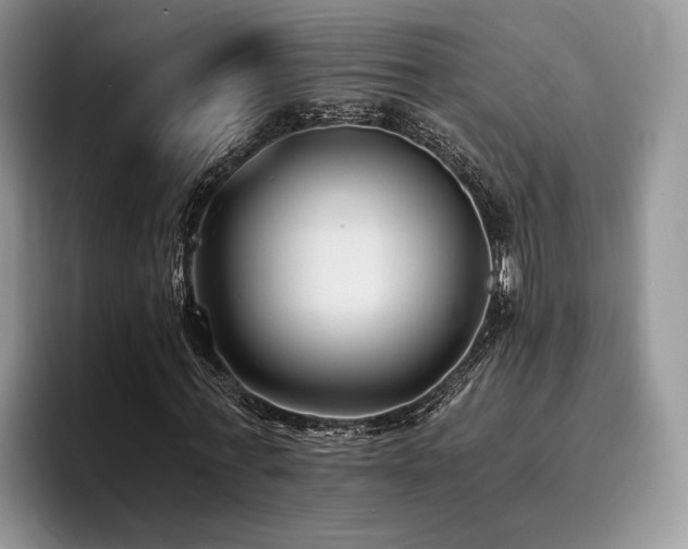 X0000096140771200801181132
