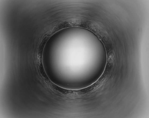 X0000096140772200801181132