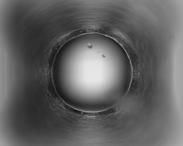 X0000096140773200801181132