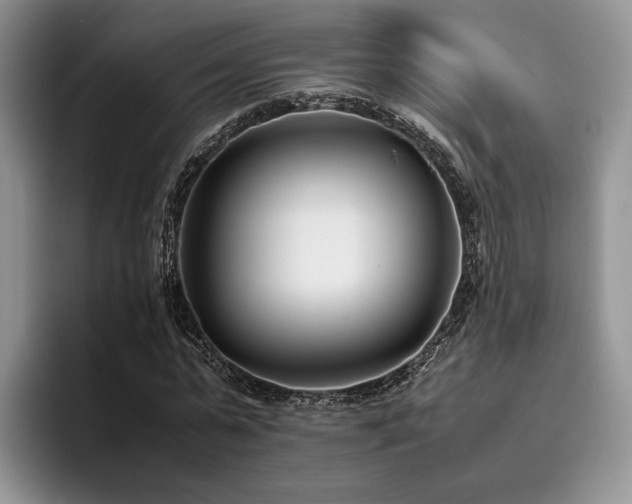 X0000096140775200801181132