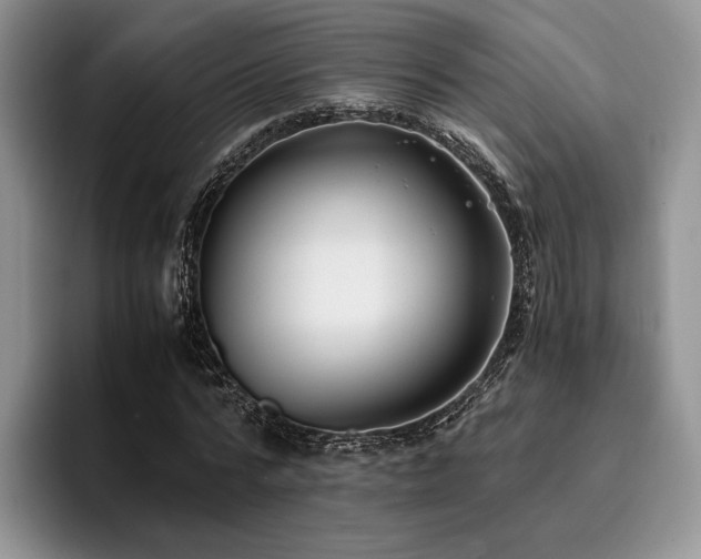 X0000096140776200801181132
