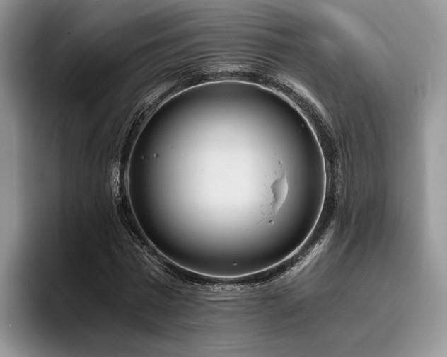 X0000096140777200801181132