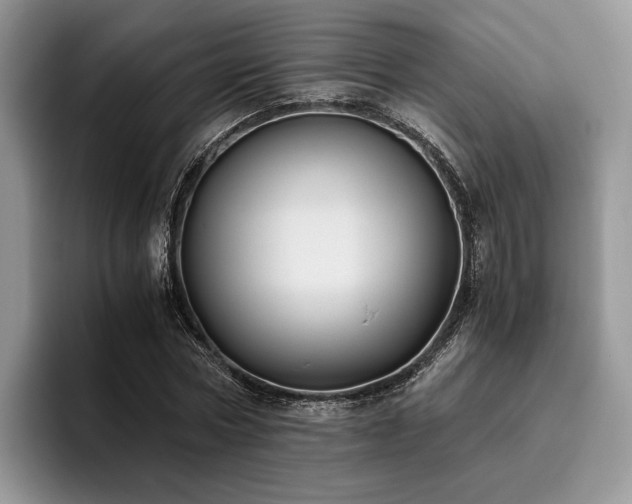 X0000096140778200801181132