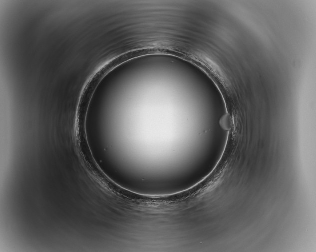 X0000096140780200801181132