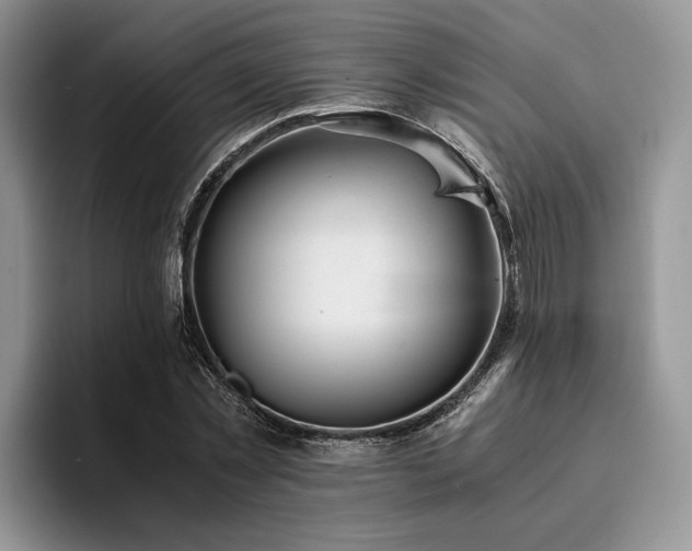 X0000096140781200801181132