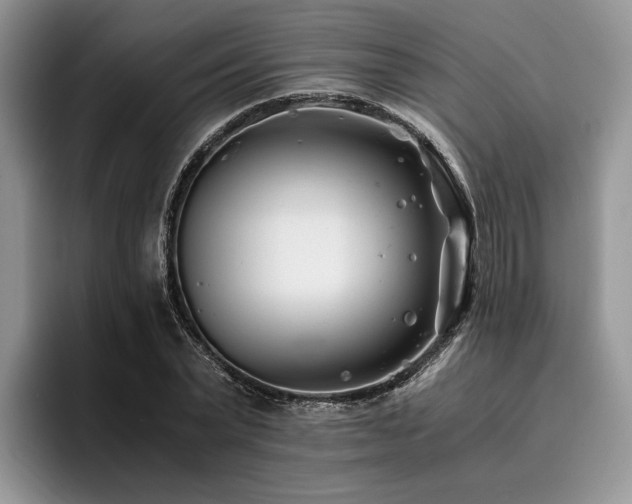 X0000096140783200801181132