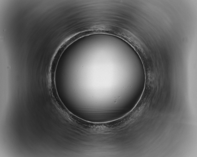 X0000096140784200801181132