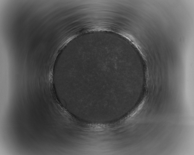 X0000096140785200801181132