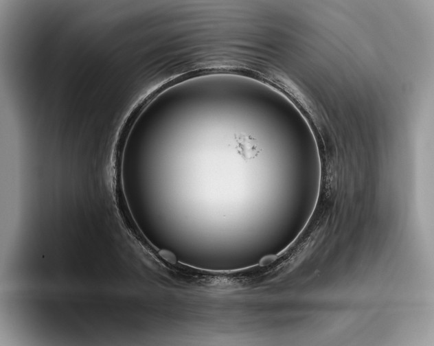 X0000096140787200801181132