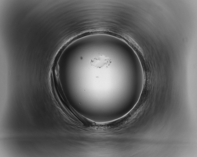 X0000096140789200801181132