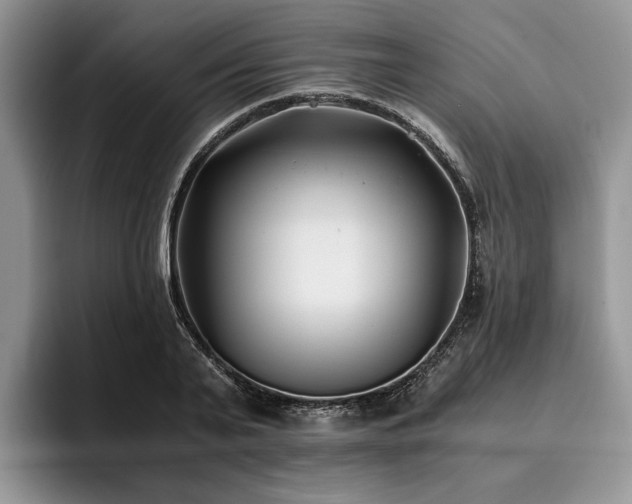 X0000096140791200801181132