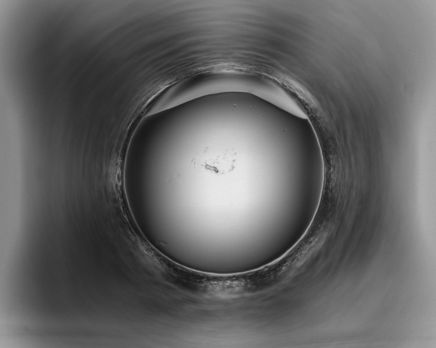X0000096140793200801181132