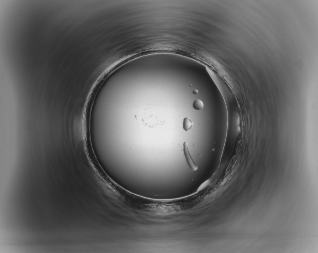 X0000096140795200801181131