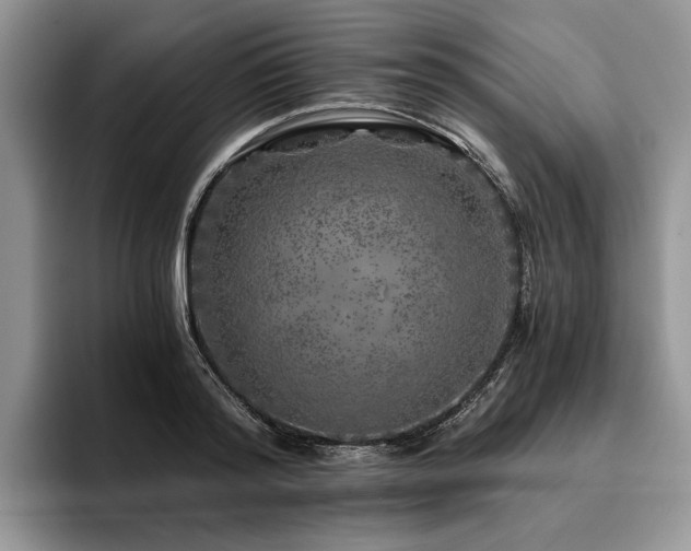X0000096140796200801181131