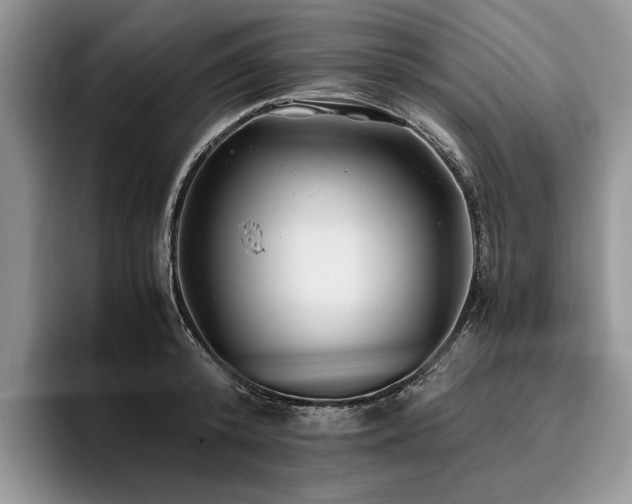 X0000096140800200801181131