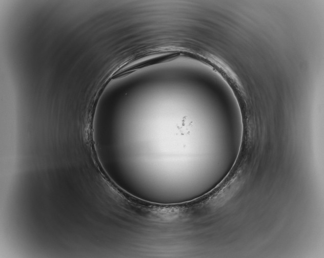 X0000096140801200801181131