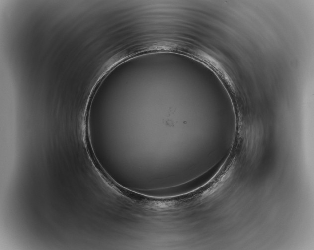 X0000096140802200801181131