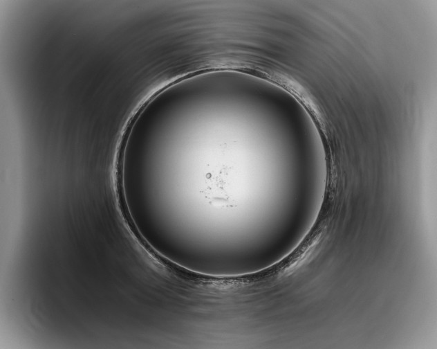 X0000096140803200801181131