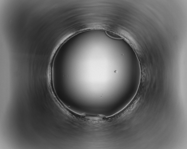 X0000096140804200801181131