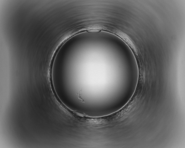 X0000096140805200801181131