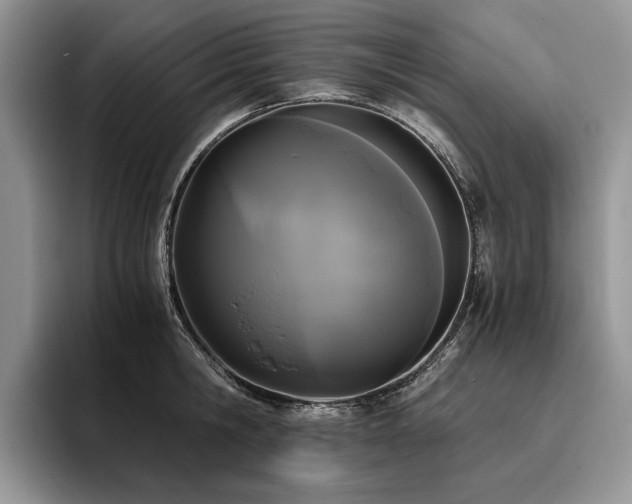 X0000096140806200801181131