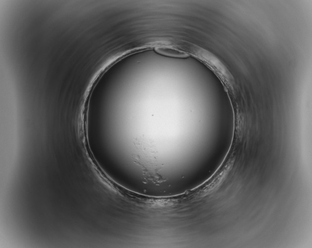 X0000096140808200801181131