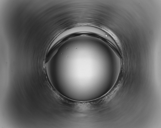 X0000096140809200801181131