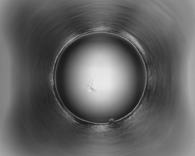 X0000096140810200801181131