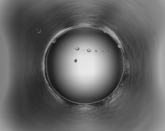 X0000096140811200801181131