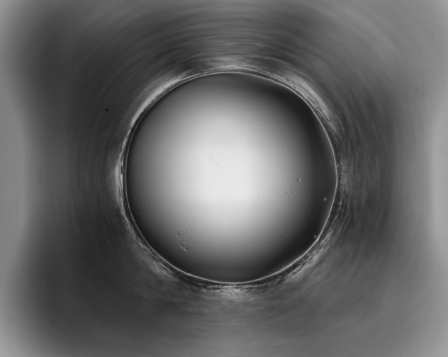 X0000096140814200801181131