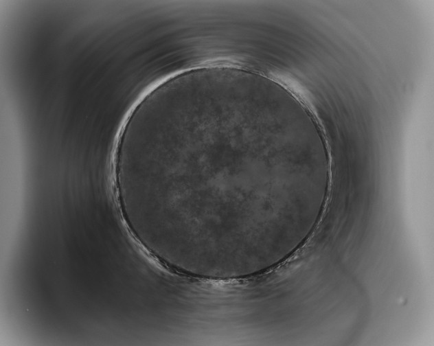 X0000096140816200801181131