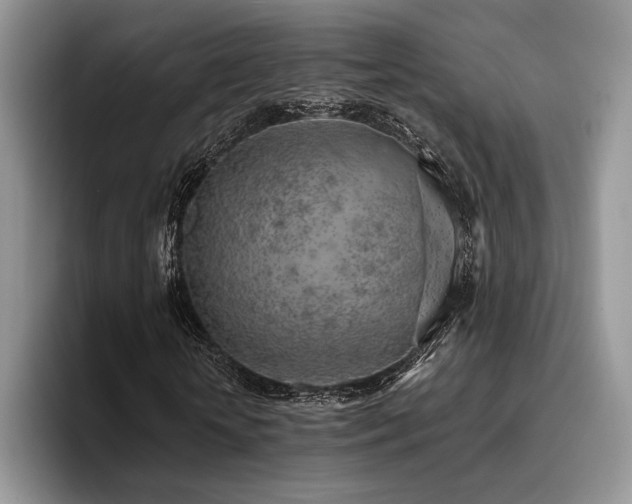 X0000096140818200801181131