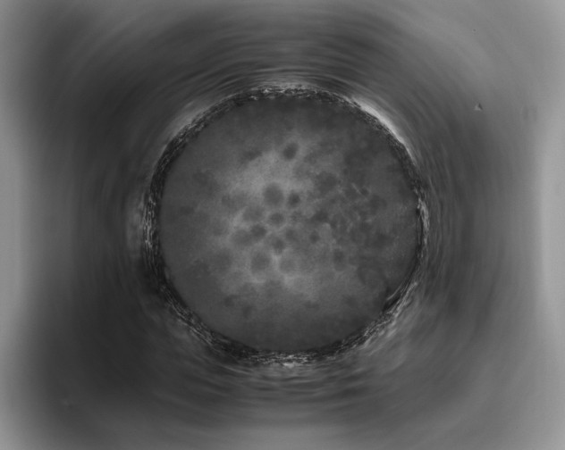 X0000096140823200801181131