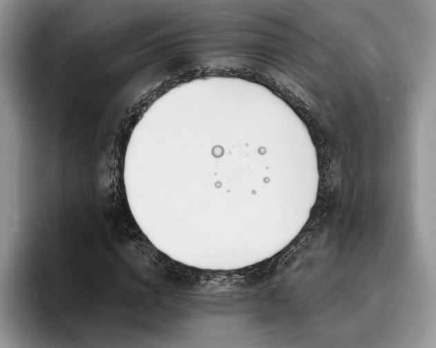 X0000096140824200801181131